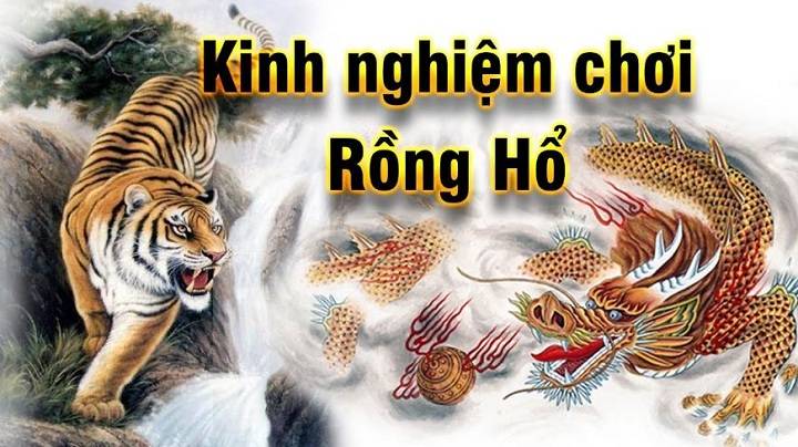 Áp dụng ngay những kinh nghiệm chơi rồng hổ