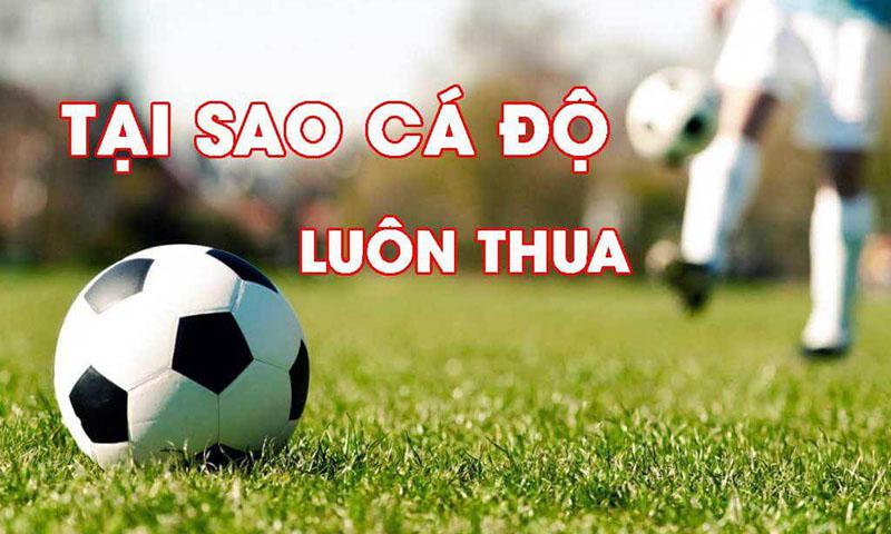 Tại sao cá độ bóng đá luôn thua