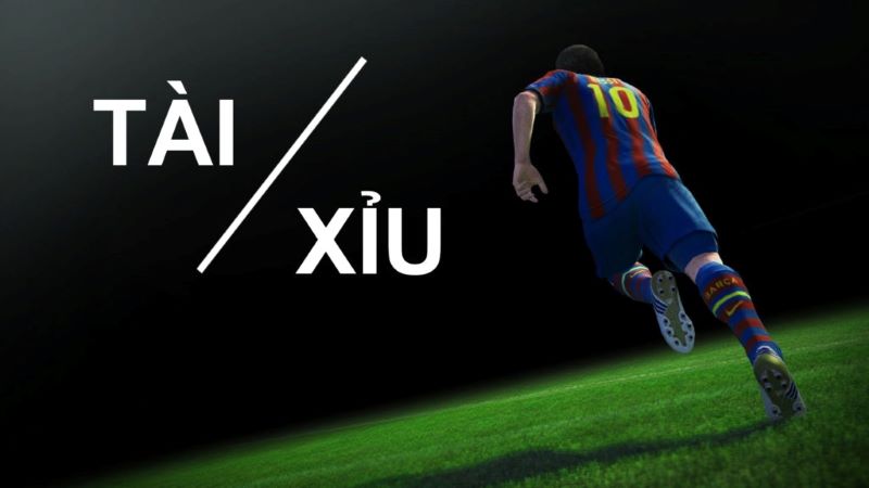 Tài xỉu 1/2 là gì